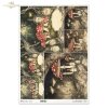 mroczny las, grzyby, muchomory, baśniowy krajobraz, ciemny las*dark forest, mushrooms, toadstools, fairytale landscape, dark forest*dunkler Wald, Pilze, Fliegenpilze, Märchenlandschaft, dunkler Wald*bosque oscuro, setas, seta, paisaje de cuento, bosque os
